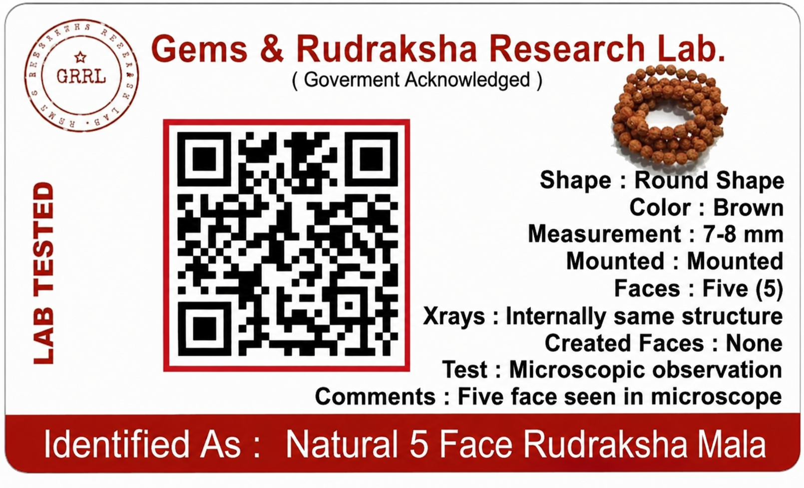 5 Mukhi
